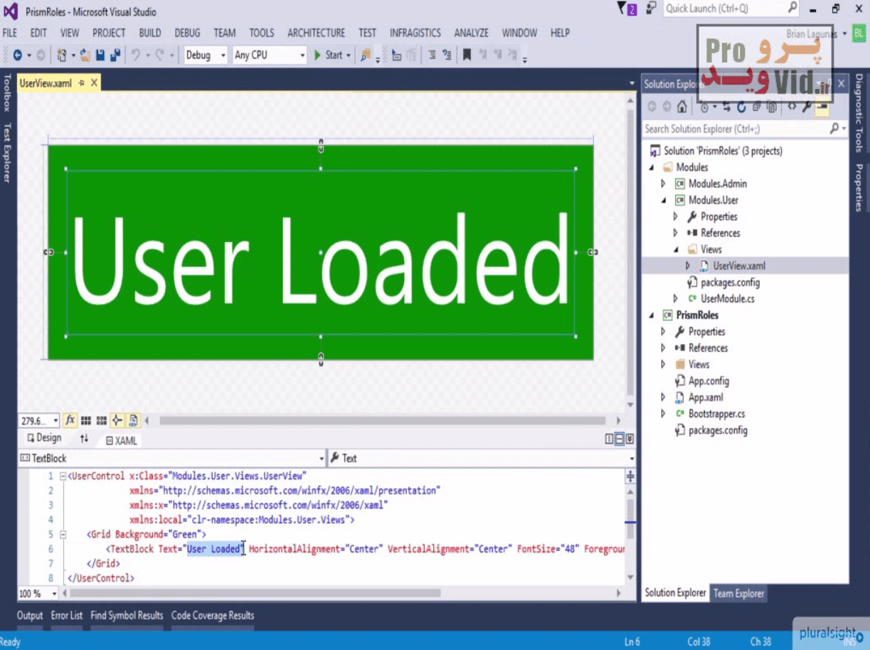 Prism-Problems-Solutions-Loading-Modules-Based-on-User-Roles-snap-shot