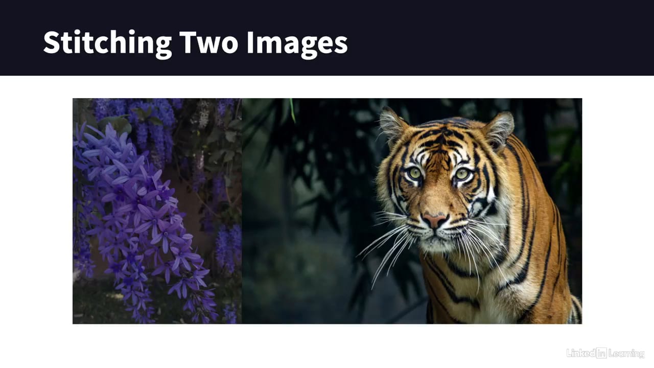 Image cuts - نمونه ای از بخش 6. Fun with Cuts در آموزش پردازش تصویر در پایتون (Image Processing)